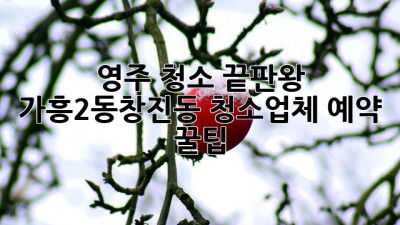 영주 청소 끝판왕🏆 가흥2동&창진동 청소업체 예약 꿀팁🍯