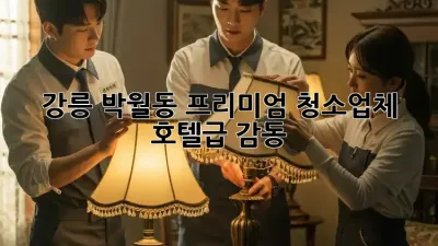 강릉 박월동 프리미엄 청소업체 ✨ 호텔급 감동!