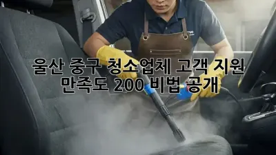 울산 중구 청소업체 고객 지원, ✨만족도 200% 비법 공개!